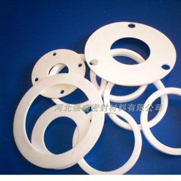 Ptfe Gasket